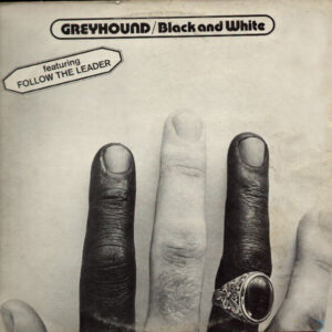 Greyhound (4) <br> Black And White