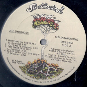 Joe Droukas <br> Shadowboxing