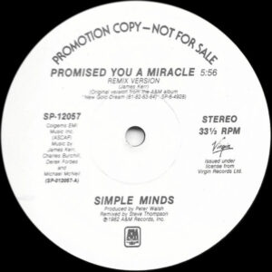 Simple Minds - Promised You A Miracle