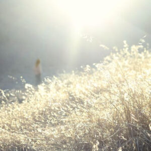 Birds Of Passage and I've Lost <br> I Was All You Are